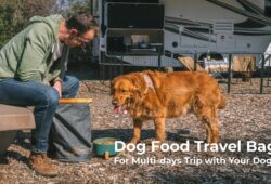 What are Dog Food Bags Waterproof? Explained