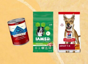 A Comprehensive Comparison of Dog Foods Comparable to Purina Pro Plan
