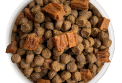Is Cat Person Food Good? 7 Key Insights for Pet Owners
