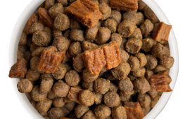 Is Cat Person Food Good? 7 Key Insights for Pet Owners
