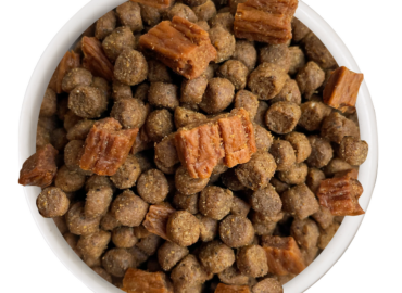 Is Cat Person Food Good? 7 Key Insights for Pet Owners
