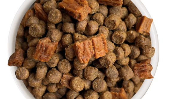 Is Cat Person Food Good? 7 Key Insights for Pet Owners