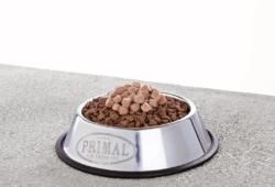 Is Lamb or Chicken Dog Food Better? 7 Key Comparisons for Pet Owners