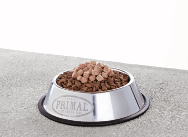 Is Lamb or Chicken Dog Food Better? 7 Key Comparisons for Pet Owners