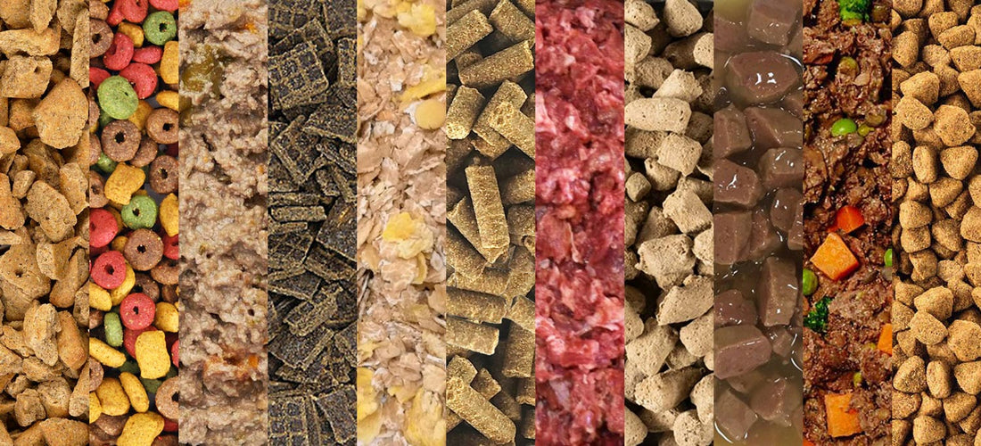 Top 10 Worst Dog Foods to Avoid for Your Pet’s Health