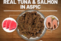 What is Aspic in Cat Food Explained