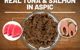 What is Aspic in Cat Food Explained