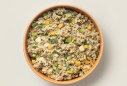 What is Ollie Dog Food? Is it Raw? Explained