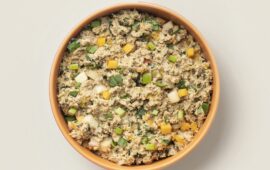 What is Ollie Dog Food? Is it Raw? Explained