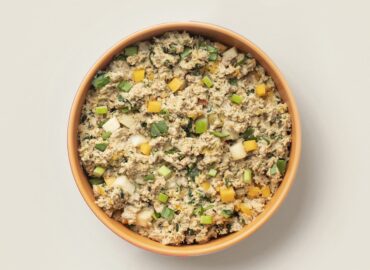 What is Ollie Dog Food? Is it Raw? Explained