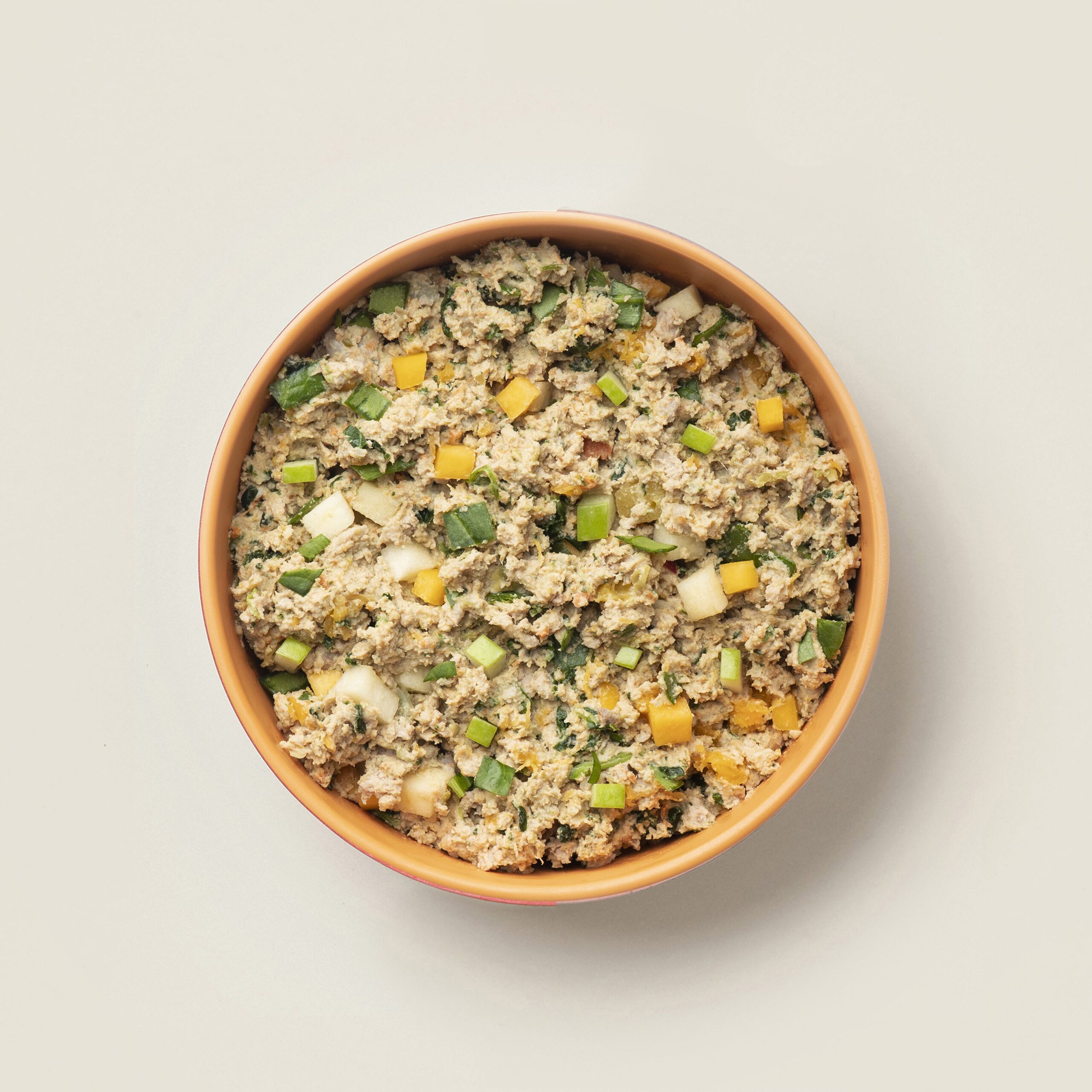 What is Ollie Dog Food? Is it Raw? Explained