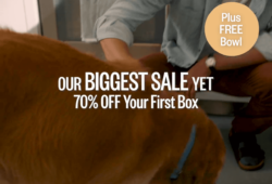 Ollie Dog Food: Where to Find It in Stores