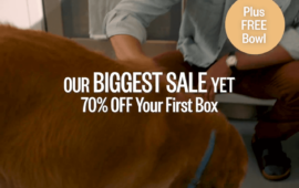 Ollie Dog Food: Where to Find It in Stores