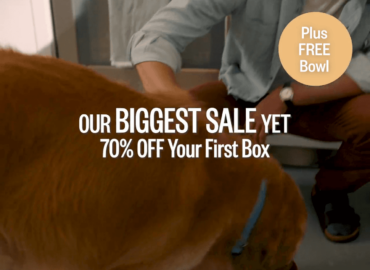 Ollie Dog Food: Where to Find It in Stores
